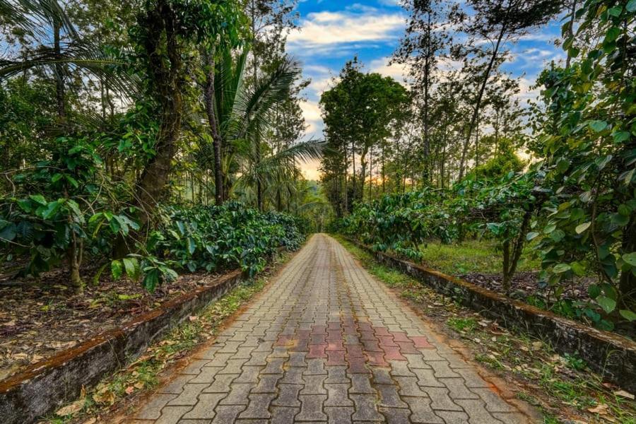 Coorg Bliss Estate Stay Madikeri Exteriör bild