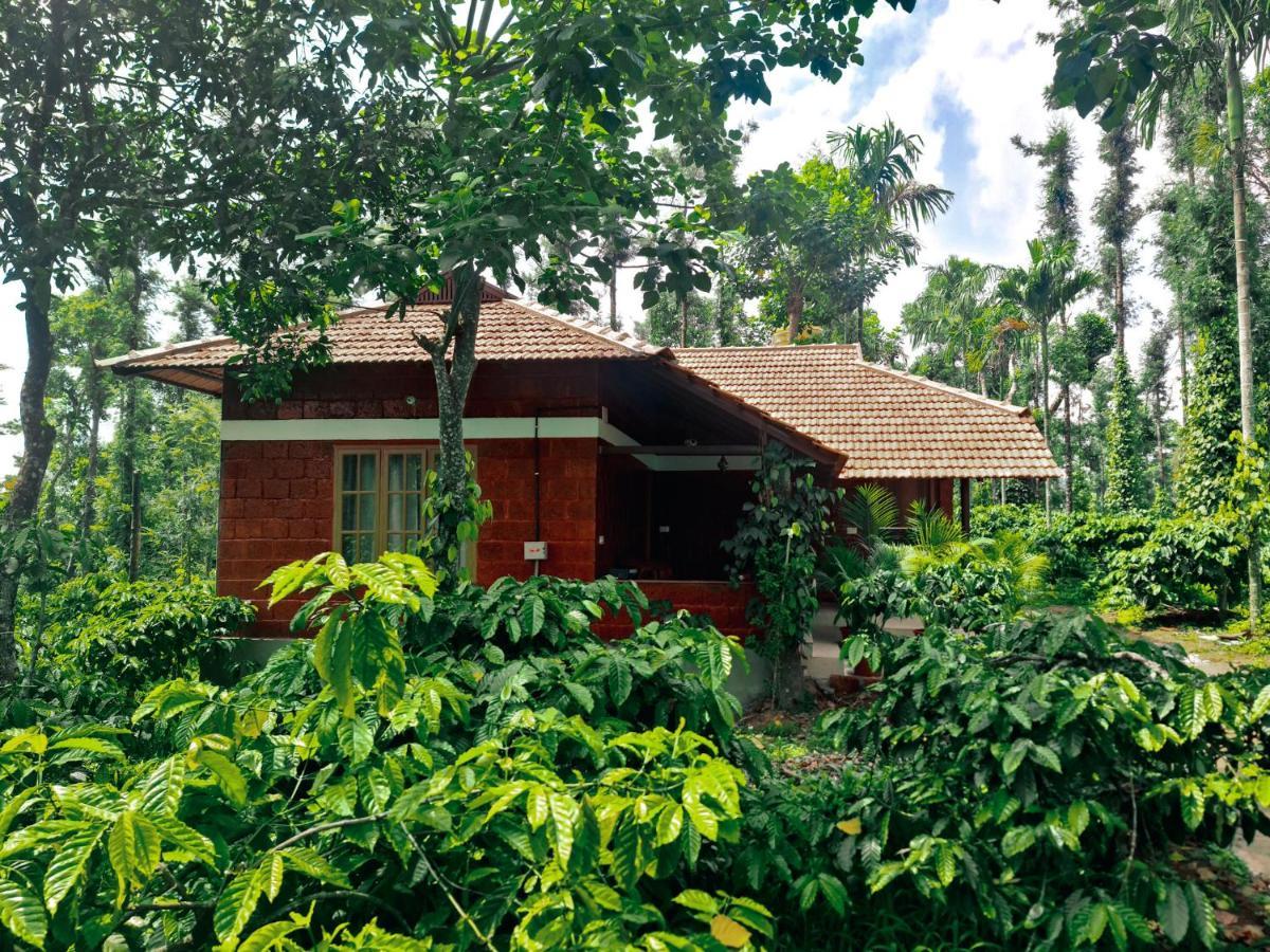 Coorg Bliss Estate Stay Madikeri Exteriör bild